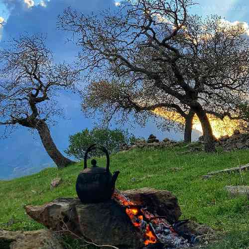 یاسین شیخی هوار هوار هاکنم تجا قرار هاکنم